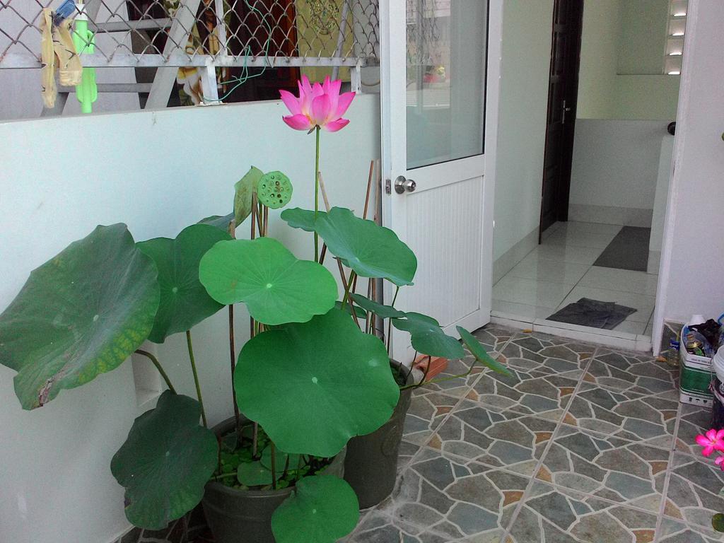 Thien Truc Guest House ญาจาง ภายนอก รูปภาพ